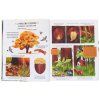 12294 zpomal a podivej se
