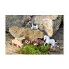 Betzold Animal set 26 pcs E 55892 p ZD