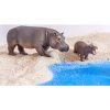 Betzold African animals 18 pcs E 97820 h MD