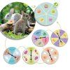 the animal world discover and classify