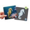 maxi memory vertebrate animals and their skeletons (1)