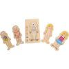 5814 puzzle anatomie b