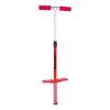 9507.pogostick