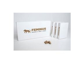 Feminus2