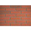 97(2) cihlovy obklad elastolith exterier 210x50 oregon rot