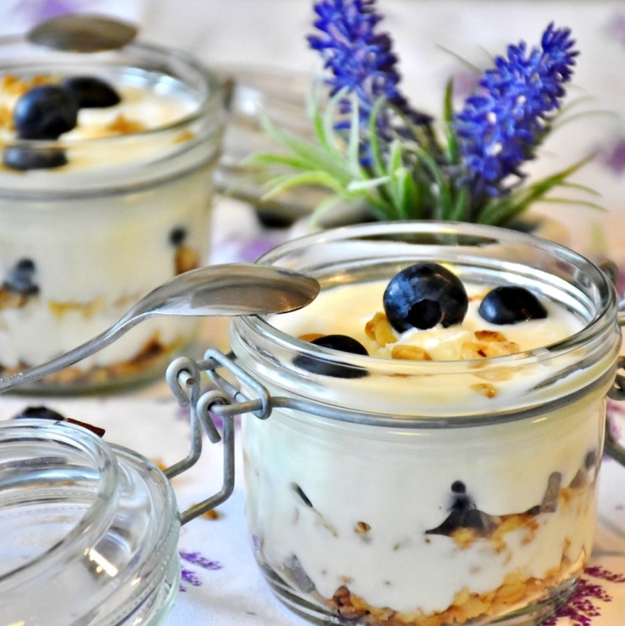 Jogurt | multifunkční tlakový hrnec TESLA