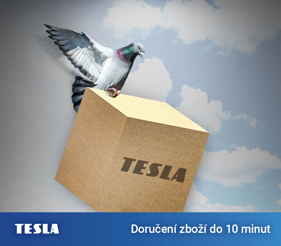 Doručujeme poštovními holuby do 10 minut