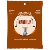 martin mandolin standard