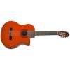 washburn c5ce a u