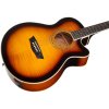 washburn ea15 atb a u (3)