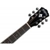 washburn wd10b a u (2)