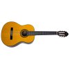 washburn c40 a u