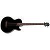 washburn ab10b