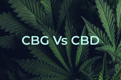 Rozdiel medzi CBD a CBG