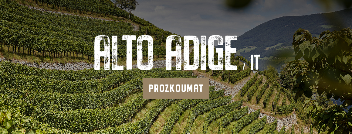 Vinice Alto Adige