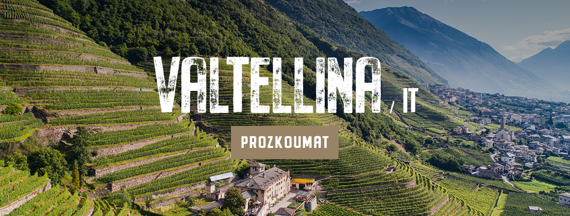 Vinice Valtellina
