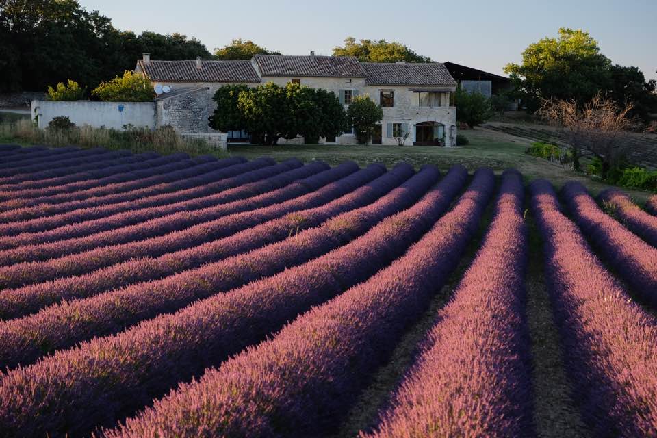 Levandulová kosmetika od De l´Art
