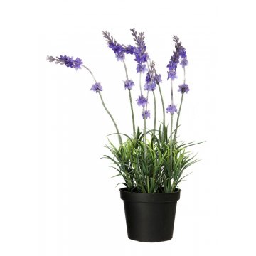 Levandule v květináči Decor Floral