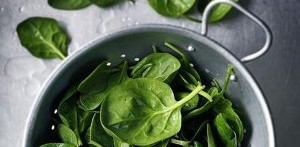 Túróval töltött spenótos tekercs