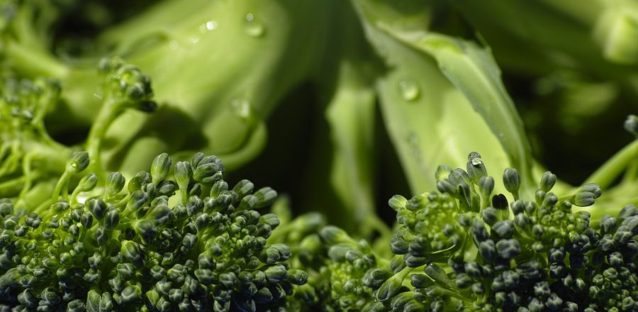 Rakott brokkoli 4 főre