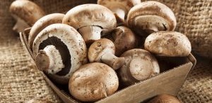 Csiperkegombás burger