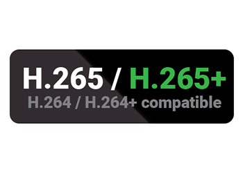 h265