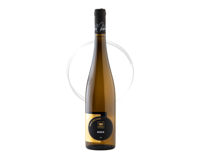 Dizajn bez názvu (7)