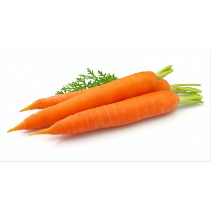 znate vsechny ucinky mrkve