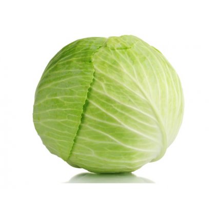 25000005 510 zelí bílé