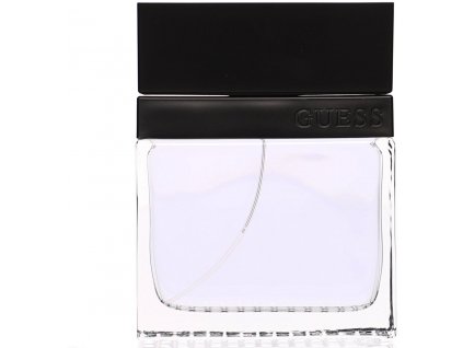 GUESS Seductive Homme EdT 100 ml
