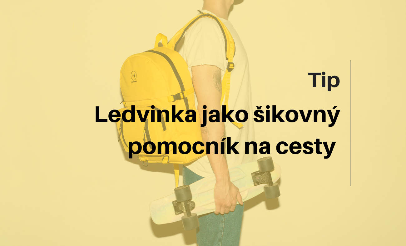 Ledvinka jako šikovný pomocník na cesty