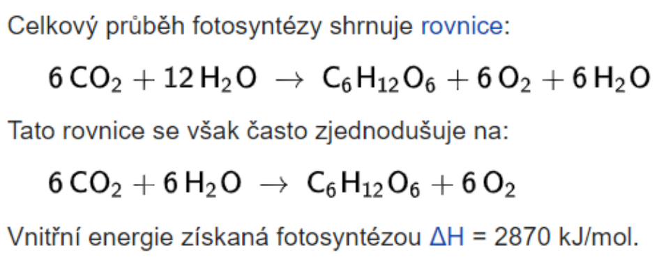 rovnice fotosyntéza