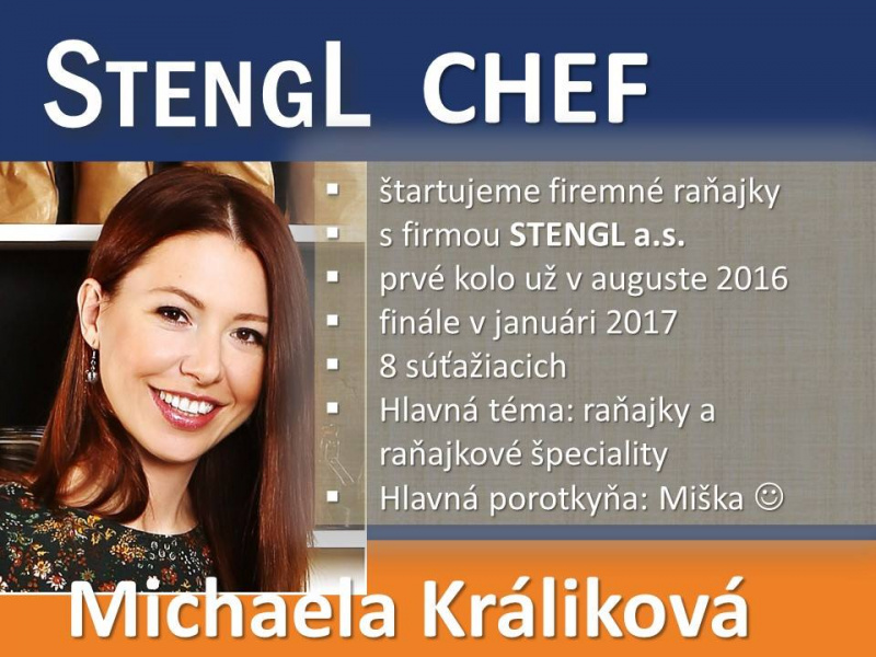 michaela-kralikova-spolupraca-stengl