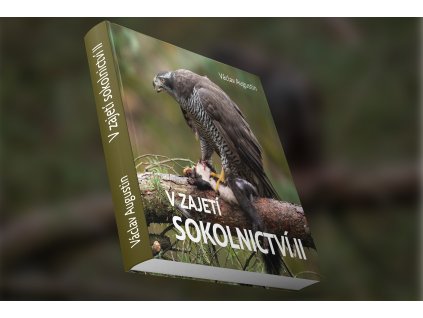 V zajetí sokolnictví II