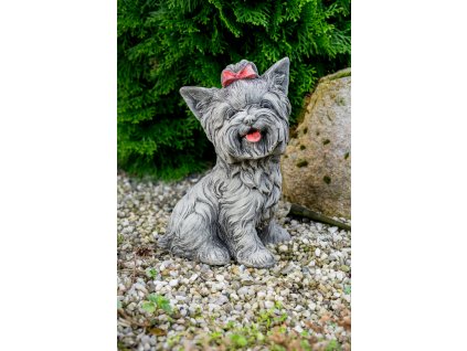 Zahradní betonová dekorace Jorkšír