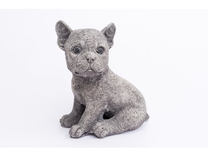 Zahradní betonová dekorace štěně Francouzský buldoček