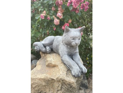 image00024 fotor 2023071121044