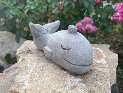 image00039 fotor 20230711211445