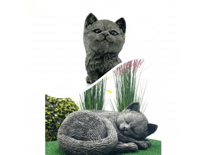 Blank Funky Collage Template