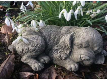 Steinfigur Gartenfigur Cocker Spaniel Sam 34x13x10 900