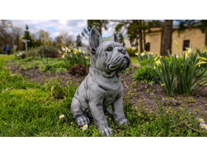 Steinfigur Gartenfigur Frenchie Eddi 30x20 1350