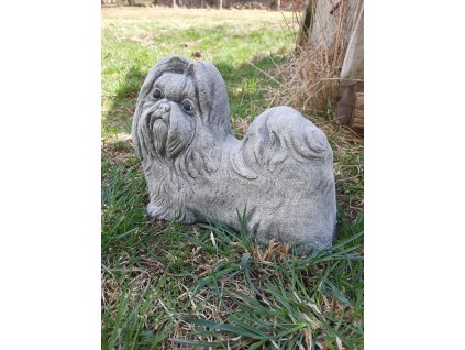 Steinfigur Gartenfigur Shih Tzu Kira 33x24 1280