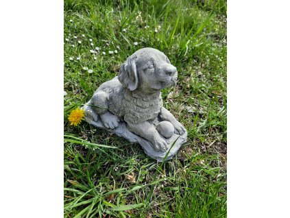 Steinfigur Gartenfigur Hund Egon 20x12x15 510