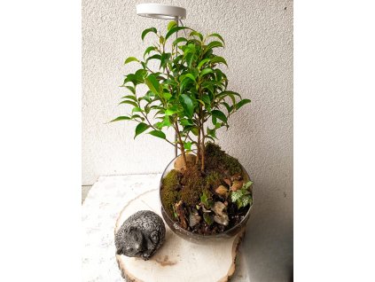 PHOTO 2025 10 13 10 09 36 2 – upraveno