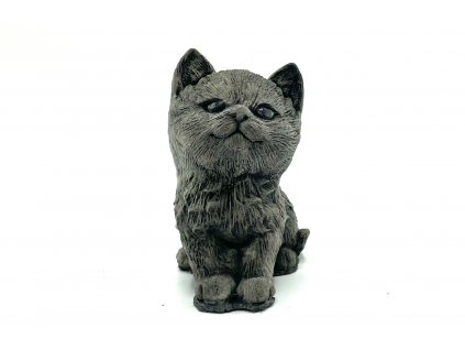 fotor 2023 1 8 10 55 26