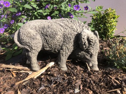 Zahradní betonová dekorace - Divoké prasátko "Pašík"