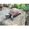 Zahradní betonová dekorace Malá želva č.2