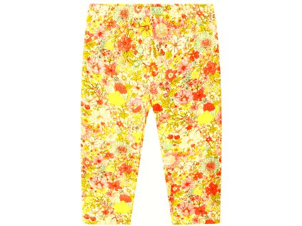 Stories de Bom Dia 2024 05 24T210257.151