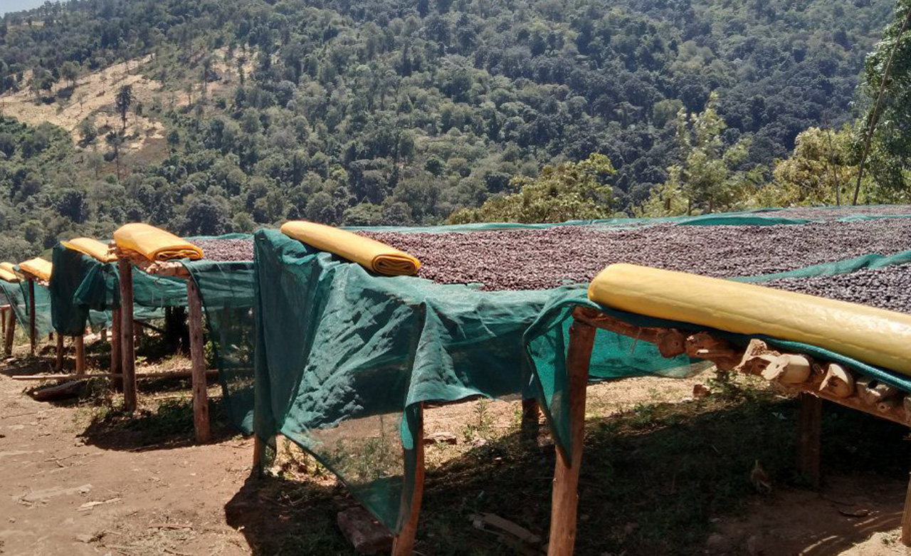 Za kávou hľadaj kozy. A mníchov