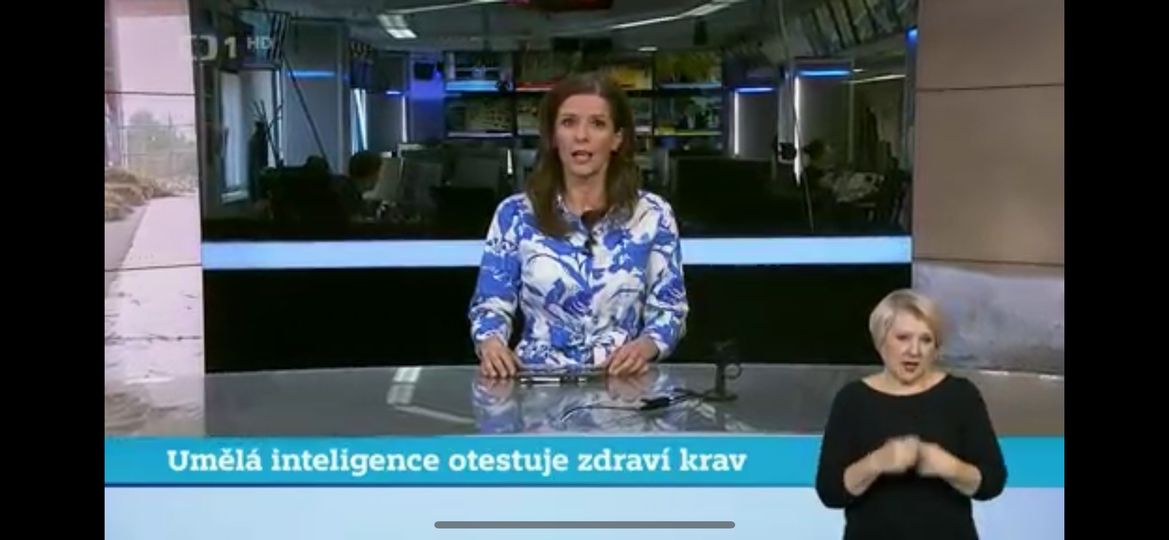 Umělá inteligence otestuje zdraví krav